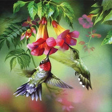 Carica l'immagine nel visualizzatore di Gallery, Diamond Painting - Colibrì