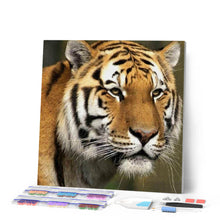 Carica l'immagine nel visualizzatore di Gallery, Diamond Painting - Tigre