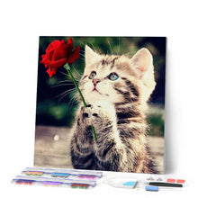 Carica l'immagine nel visualizzatore di Gallery, Diamond Painting - Gatto Con Rose
