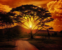 Carica l'immagine nel visualizzatore di Gallery, Diamond Painting - Grande albero all'alba