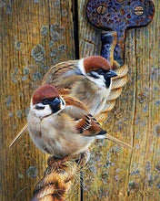 Carica l'immagine nel visualizzatore di Gallery, Diamond Painting - Passeri Su Una Corda