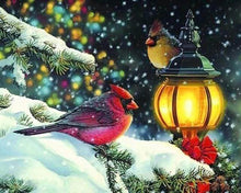 Carica l'immagine nel visualizzatore di Gallery, Diamond Painting - Uccelli E Lanterna