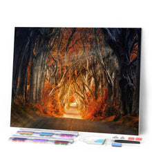 Carica l'immagine nel visualizzatore di Gallery, Diamond Painting - Strada che attraversa il bosco