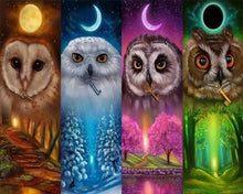 Carica l'immagine nel visualizzatore di Gallery, Diamond Painting - Gufi Multicolori