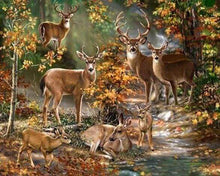 Carica l'immagine nel visualizzatore di Gallery, Diamond Painting - Famiglia Di Cervi