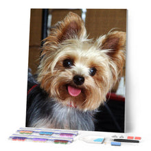 Carica l'immagine nel visualizzatore di Gallery, Diamond Painting - Piccolo cane carino