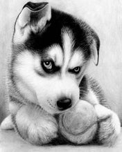 Carica l'immagine nel visualizzatore di Gallery, Diamond Painting - Piccolo Husky