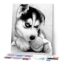 Carica l'immagine nel visualizzatore di Gallery, Diamond Painting - Piccolo Husky