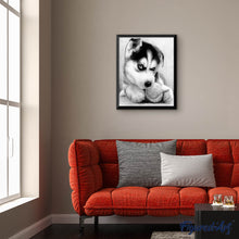 Carica l'immagine nel visualizzatore di Gallery, Diamond Painting - Piccolo Husky