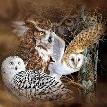 Carica l'immagine nel visualizzatore di Gallery, Diamond Painting - Gufi