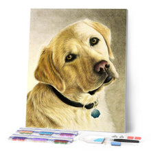 Carica l'immagine nel visualizzatore di Gallery, Diamond Painting - Ritratto di un labrador