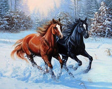 Carica l'immagine nel visualizzatore di Gallery, Diamond Painting - Due Cavalli In Inverno