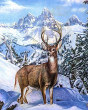 Carica l'immagine nel visualizzatore di Gallery, Diamond Painting - Cervo in alta montagna