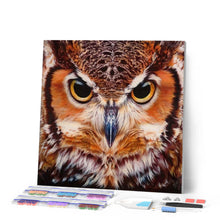 Carica l'immagine nel visualizzatore di Gallery, Diamond Painting - Ritratto Di Gufi