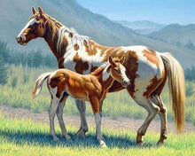 Carica l'immagine nel visualizzatore di Gallery, Diamond Painting - Cavallo E Puledro