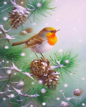 Carica l'immagine nel visualizzatore di Gallery, Diamond Painting - Pettirosso sul pino