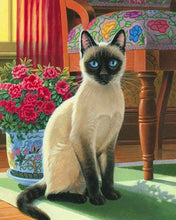Carica l'immagine nel visualizzatore di Gallery, Diamond Painting - Gatto con gli occhi blu