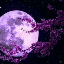 Carica l'immagine nel visualizzatore di Gallery, Diamond Painting - Luna Piena E Fiori