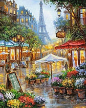 Carica l'immagine nel visualizzatore di Gallery, Diamond Painting - Fioraio A Parigi