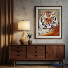 Carica l'immagine nel visualizzatore di Gallery, Diamond Painting - Occhio Di Tigre