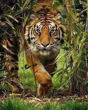 Carica l'immagine nel visualizzatore di Gallery, Diamond Painting - Il Leone E La Caccia