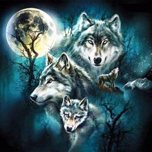 Carica l'immagine nel visualizzatore di Gallery, Diamond Painting - Lupo E Luna Piena