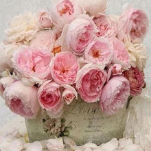 Carica l'immagine nel visualizzatore di Gallery, Diamond Painting - La Vita In Rosa