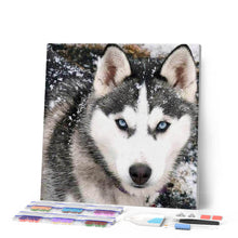 Carica l'immagine nel visualizzatore di Gallery, Diamond Painting - Il Muso Del Lupo
