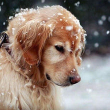 Carica l'immagine nel visualizzatore di Gallery, Diamond Painting - Cane Nella Neve
