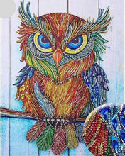 Carica l'immagine nel visualizzatore di Gallery, Diamond Painting - Gufo E Diamanti