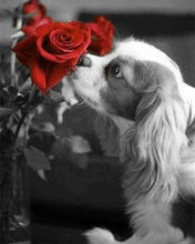 Carica l'immagine nel visualizzatore di Gallery, Diamond Painting - Cane E Rosa