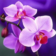 Carica l'immagine nel visualizzatore di Gallery, Diamond Painting - Fiore Viola
