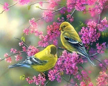 Carica l'immagine nel visualizzatore di Gallery, Diamond Painting - Uccelli Con Ramo Fiorito