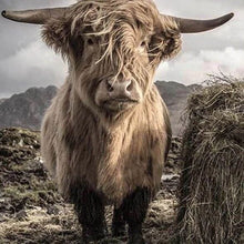 Carica l'immagine nel visualizzatore di Gallery, Diamond Painting - Yak