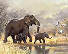 Carica l'immagine nel visualizzatore di Gallery, Diamond Painting - Famiglia Di Elefanti Nella Savana