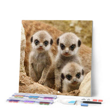 Carica l'immagine nel visualizzatore di Gallery, Diamond Painting - Piccole Scimmie