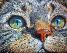 Carica l'immagine nel visualizzatore di Gallery, Diamond Painting - Muso Di Gatto