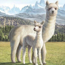 Carica l'immagine nel visualizzatore di Gallery, Diamond Painting - Lama