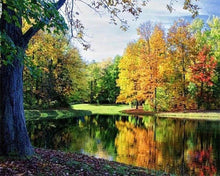 Carica l'immagine nel visualizzatore di Gallery, Diamond Painting - Vista Sullo Stagno