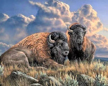 Carica l'immagine nel visualizzatore di Gallery, Diamond Painting - Bisonte