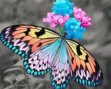 Carica l'immagine nel visualizzatore di Gallery, Diamond Painting - Farfalla Che Raccoglie Il Polline