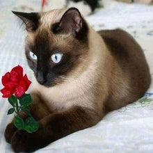 Carica l'immagine nel visualizzatore di Gallery, Diamond Painting - Gatto Romantico