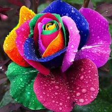Carica l'immagine nel visualizzatore di Gallery, Diamond Painting - Grande Petalo Di Fiore