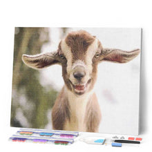 Carica l'immagine nel visualizzatore di Gallery, Diamond Painting - Piccola Pecora