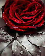 Carica l'immagine nel visualizzatore di Gallery, Diamond Painting - Rosa Rossa