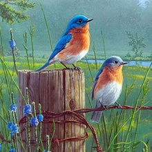 Carica l'immagine nel visualizzatore di Gallery, Diamond Painting - Piccoli Uccelli