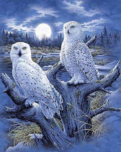 Carica l'immagine nel visualizzatore di Gallery, Diamond Painting - Gufi E Luna