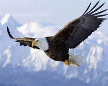 Carica l'immagine nel visualizzatore di Gallery, Diamond Painting - Aquila In Volo