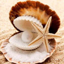 Carica l'immagine nel visualizzatore di Gallery, Diamond Painting - Stelle Marine E Conchiglie