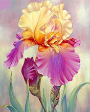 Carica l'immagine nel visualizzatore di Gallery, Diamond Painting - Iris Bicolore